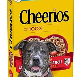 Photo of Cheerios