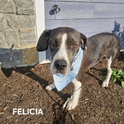 Thumbnail photo of Felicia #3