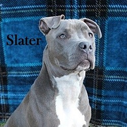 Thumbnail photo of Slater #2