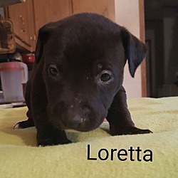 Thumbnail photo of Loretta Lynn #1