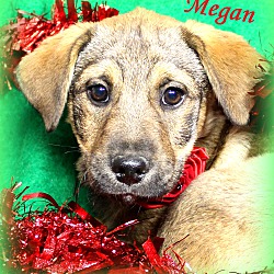 Thumbnail photo of Megan ~ meet me! #2