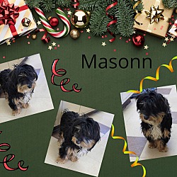 Photo of Masonn