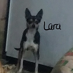 Thumbnail photo of Lara (DC) #1