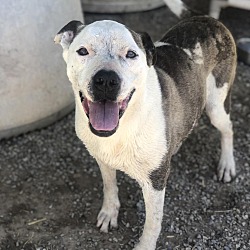 Photo of Dawn (Lucy)
