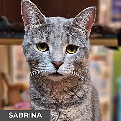 Thumbnail photo of Sabrina #1