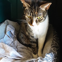 Photo of Alvin
