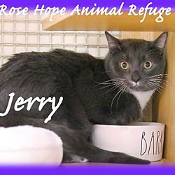 Photo of Jerry