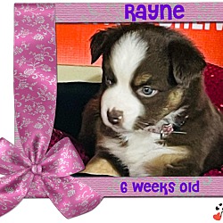 Photo of Rayne