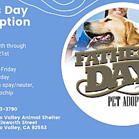 adopt a pet