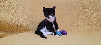 Eurydice *Adoption Pending