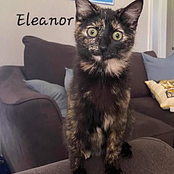 Thumbnail photo of Eleanor #2