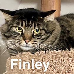 Photo of Finley