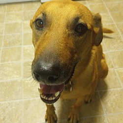 Photo of Dolly