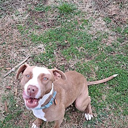 Photo of Chloe