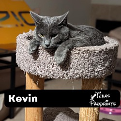 Photo of Kevin