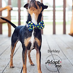 Thumbnail photo of Barkley #4