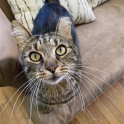 Photo of Archie