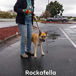 Thumbnail photo of Rockafella #2