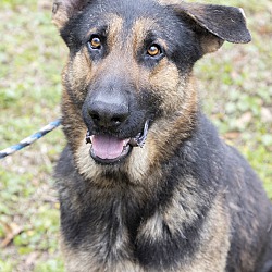 Photo of Mazi