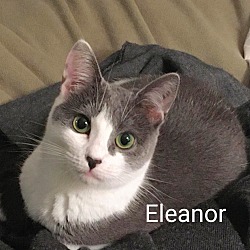 Thumbnail photo of Eleanor #2