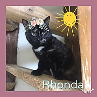 Photo of Rhonda