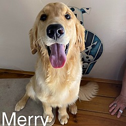Photo of Merry