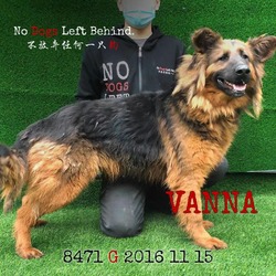 Thumbnail photo of Vanna 8471 #4