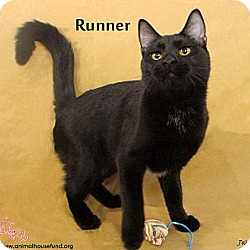 Thumbnail photo of Runner #2