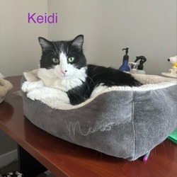 Thumbnail photo of Keidi #1