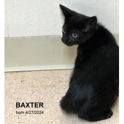 Photo of Baxter-1835