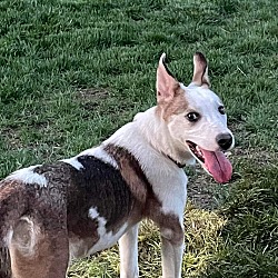 Photo of Luna FKA Talitha