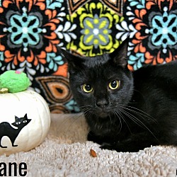 Thumbnail photo of Sloane #3