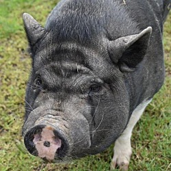 Thumbnail photo of Maggie Mae #2