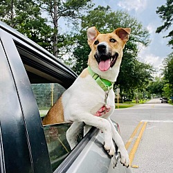 Photo of Sally
