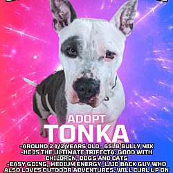 Photo of Tonka