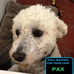 Thumbnail photo of Pax #2