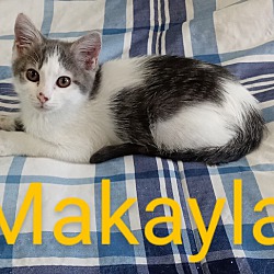 Thumbnail photo of Makayla #3