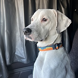 Photo of Odin