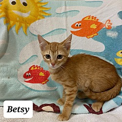 Photo of Betsy