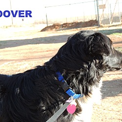 Thumbnail photo of Hoover #4