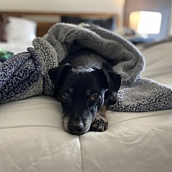 Photo of Max