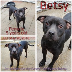 Thumbnail photo of Betsy #1