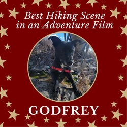Photo of Godfrey