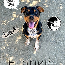 Photo of FRANKIE