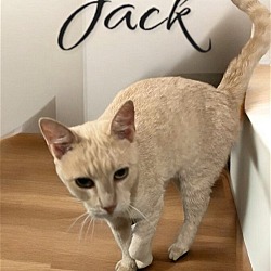 Thumbnail photo of Jack #2