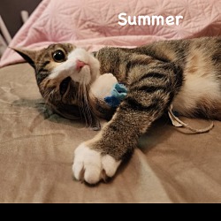 Thumbnail photo of Summer #1