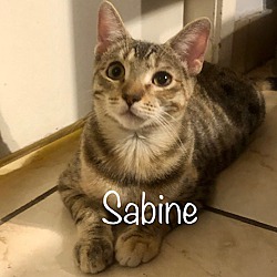 Photo of Sabine