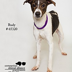 Thumbnail photo of Rudy #2