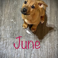 Photo of June