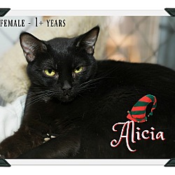 Thumbnail photo of Alicia #1